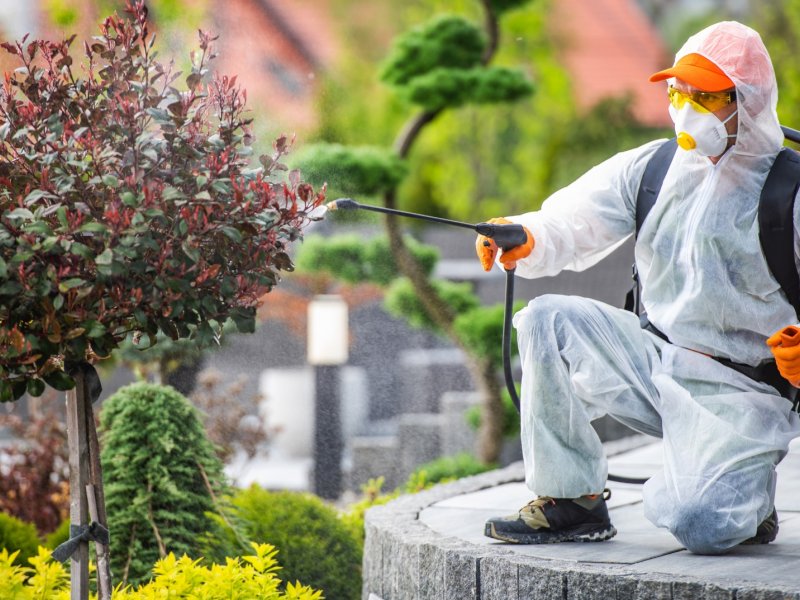 Turgutlu Haşere İlaçlama